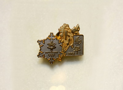 2002年奥运纪念章