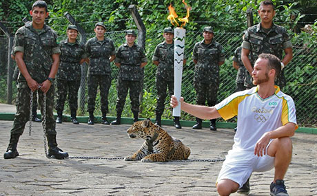 里约奥运火炬传递吉祥物美洲虎祖玛被击毙